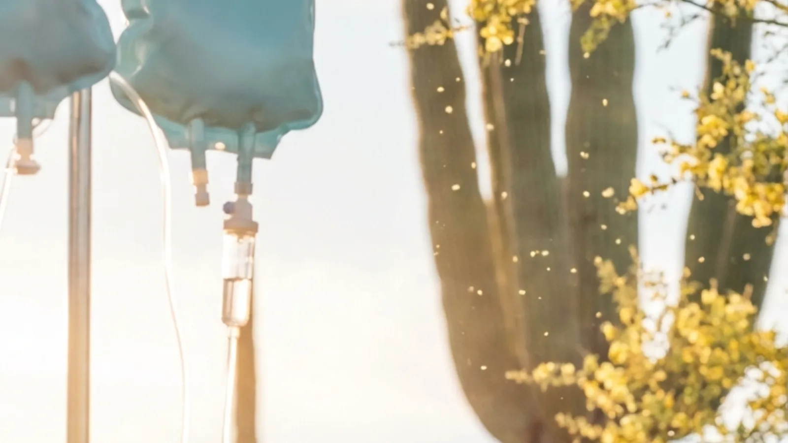 Arizona Allergy Season: Why It's Worse and What Helps